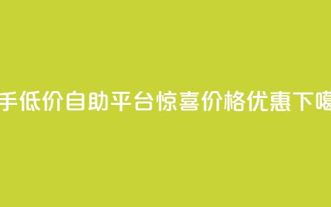 快手低价自助平台惊喜价格优惠 第1张 快手低价自助平台惊喜价格优惠 第1张