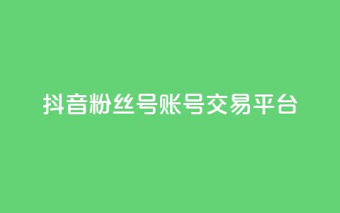 抖音粉丝号账号交易平台 - 抖音粉丝账号交易平台全解揭秘~  第1张