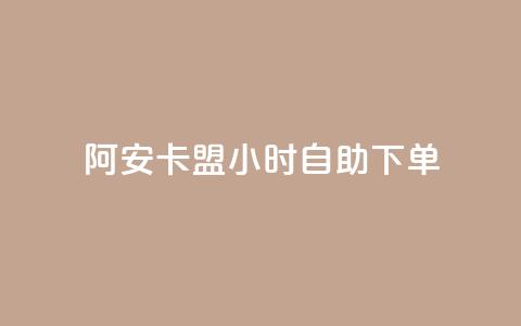 阿安卡盟24小时自助下单 - 24小时自助下单！阿安卡盟订单便捷！！  第1张