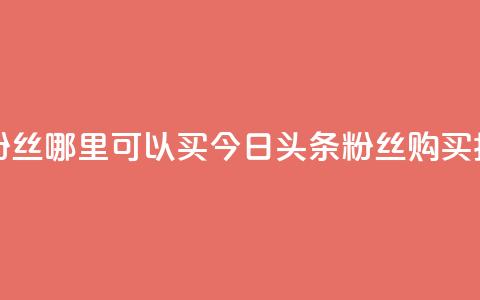 今日头条粉丝哪里可以买 - 今日头条粉丝购买指南!  第1张