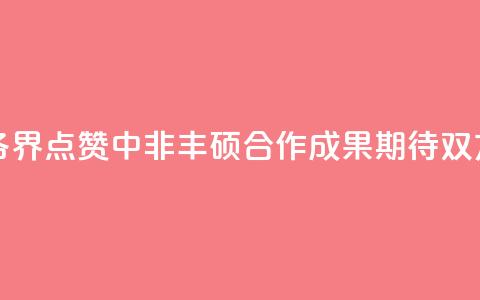 【中国那些事儿】非洲各界点赞中非丰硕合作成果 期待双方深化合作、携手共赢  第1张