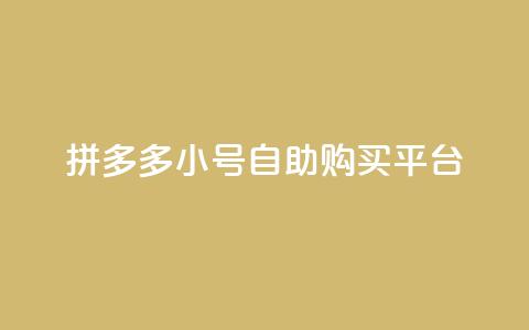 拼多多小号自助购买平台,抖音业务下单24小时秒到账 - 空间自助下单业务 低价qq超级会员  第1张
