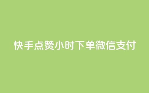 快手点赞24小时下单微信支付,QQ买访客链接入口 - 刷粉网免费入口 抖音24小时下单在线  第1张