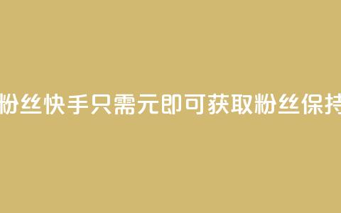 快手1元3000粉丝不掉粉丝 - 快手只需1元即可获取3000粉丝保持真实稳定。  第1张