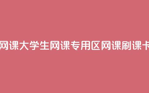 卡盟刷网课大学生网课专用区(网课刷课卡盟专区)  第1张