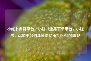 小红书点赞平台，小红书业务下单平台，小红书，点赞平台的新风尚亿乐社区SUP货源站