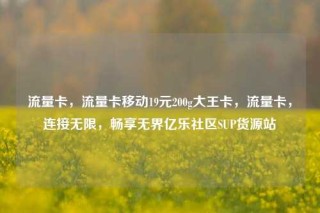 流量卡，流量卡移动19元200g大王卡，流量卡，连接无限，畅享无界亿乐社区SUP货源站