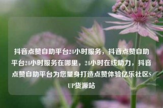 抖音点赞自助平台24小时服务，抖音点赞自助平台24小时服务在哪里，24小时在线助力，抖音点赞自助平台为您量身打造点赞体验亿乐社区SUP货源站