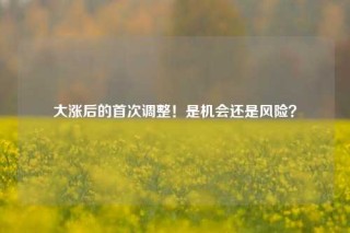 大涨后的首次调整！是机会还是风险？