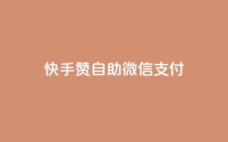 快手赞自助微信支付,快手业务在线下单平台全网最低 - 子潇24小时下单 - 空间访问量50000免费