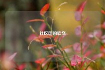 社区团购软文