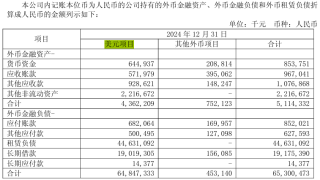 海航2024年业绩转亏“大变脸”，负债率高居不下，汇兑损失拖后腿