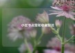 小红书点赞和收藏好处