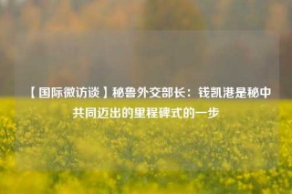 【国际微访谈】秘鲁外交部长：钱凯港是秘中共同迈出的里程碑式的一步