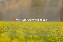 小红书怎么突然没有点赞了