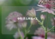 心悦1怎么转接人工