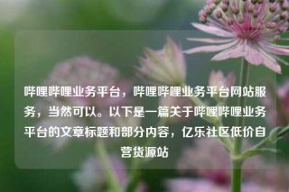 哔哩哔哩业务平台，哔哩哔哩业务平台网站服务，当然可以。以下是一篇关于哔哩哔哩业务平台的文章标题和部分内容，亿乐社区低价自营货源站