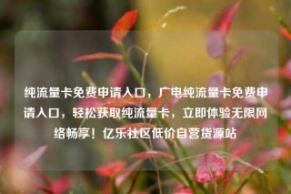 纯流量卡免费申请入口，广电纯流量卡免费申请入口，轻松获取纯流量卡，立即体验无限网络畅享！亿乐社区低价自营货源站