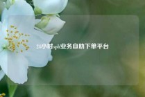 24小时sph业务自助下单平台