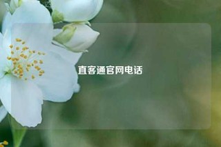直客通官网电话
