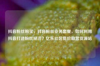 抖音粉丝购买，抖音粉丝业务套餐，如何利用抖音打造粉丝经济？亿乐社区低价自营货源站