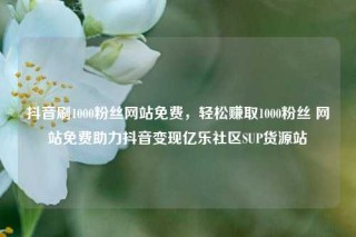 抖音刷1000粉丝网站免费，轻松赚取1000粉丝 网站免费助力抖音变现亿乐社区SUP货源站