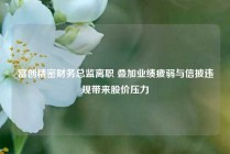 富创精密财务总监离职 叠加业绩疲弱与信披违规带来股价压力