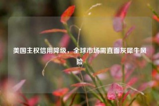 美国主权信用降级，全球市场需直面灰犀牛风险