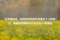 抖音刷粉丝，如何有效利用抖音提升个人影响力，揭秘如何刷粉丝亿乐社区SUP货源站