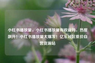 小红书播放量，小红书播放量有收益吗，热度飙升！小红书播放量大爆发！亿乐社区低价自营货源站