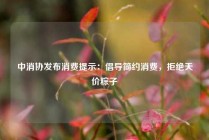 中消协发布消费提示：倡导简约消费，拒绝天价粽子