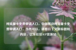 纯流量卡免费申请入口，中国移动纯流量卡免费申请入口，当然可以，请看以下文章标题和内容，亿乐社区SUP货源站