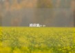 阅读量pv uv