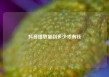 抖音播放量到多少才有钱
