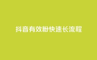 抖音500有效粉快速长流程 - 抖音快速增长500个有效粉丝的完整方法~