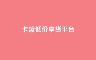 卡盟低价拿货平台 - 提供低价货源的卡盟平台！