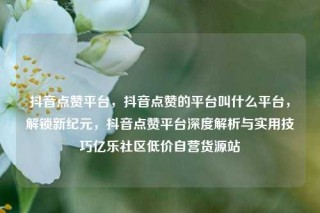 抖音点赞平台，抖音点赞的平台叫什么平台，解锁新纪元，抖音点赞平台深度解析与实用技巧亿乐社区低价自营货源站