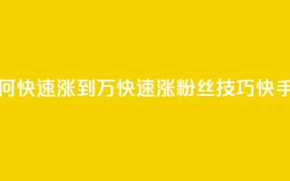 快手粉丝如何快速涨到1万(快速涨粉丝技巧，快手1万粉丝攻略)