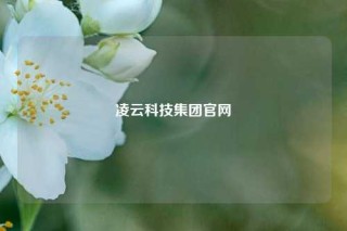 凌云科技集团官网