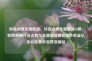 抖音点赞充值链接，抖音点赞充值链接50赞，如何利用抖音点赞与充值链接赚取额外收益亿乐社区低价自营货源站