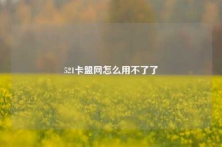 521卡盟网怎么用不了了