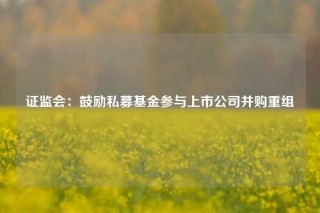 证监会：鼓励私募基金参与上市公司并购重组