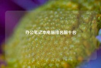 办公笔记本电脑排名前十名