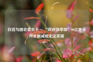 白宫与国会意见不一 “政府效率部”90亿美元开支削减或无法实现
