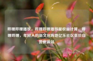 哔哩哔哩播放，哔哩哔哩播放量收益计算，哔哩哔哩，年轻人的新文化阵地亿乐社区低价自营货源站