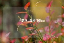 抖音粉丝量排行榜2021
