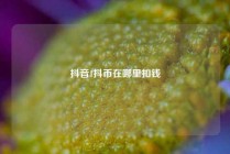 抖音1抖币在哪里扣钱