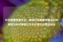 抖音刷播放量平台，揭秘抖音刷播放量背后的真相与应对策略亿乐社区低价自营货源站