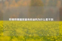 哔哩哔哩播放量有收益吗为什么看不到