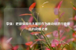李强：把做强国内大循环作为推动经济行稳致远的战略之举